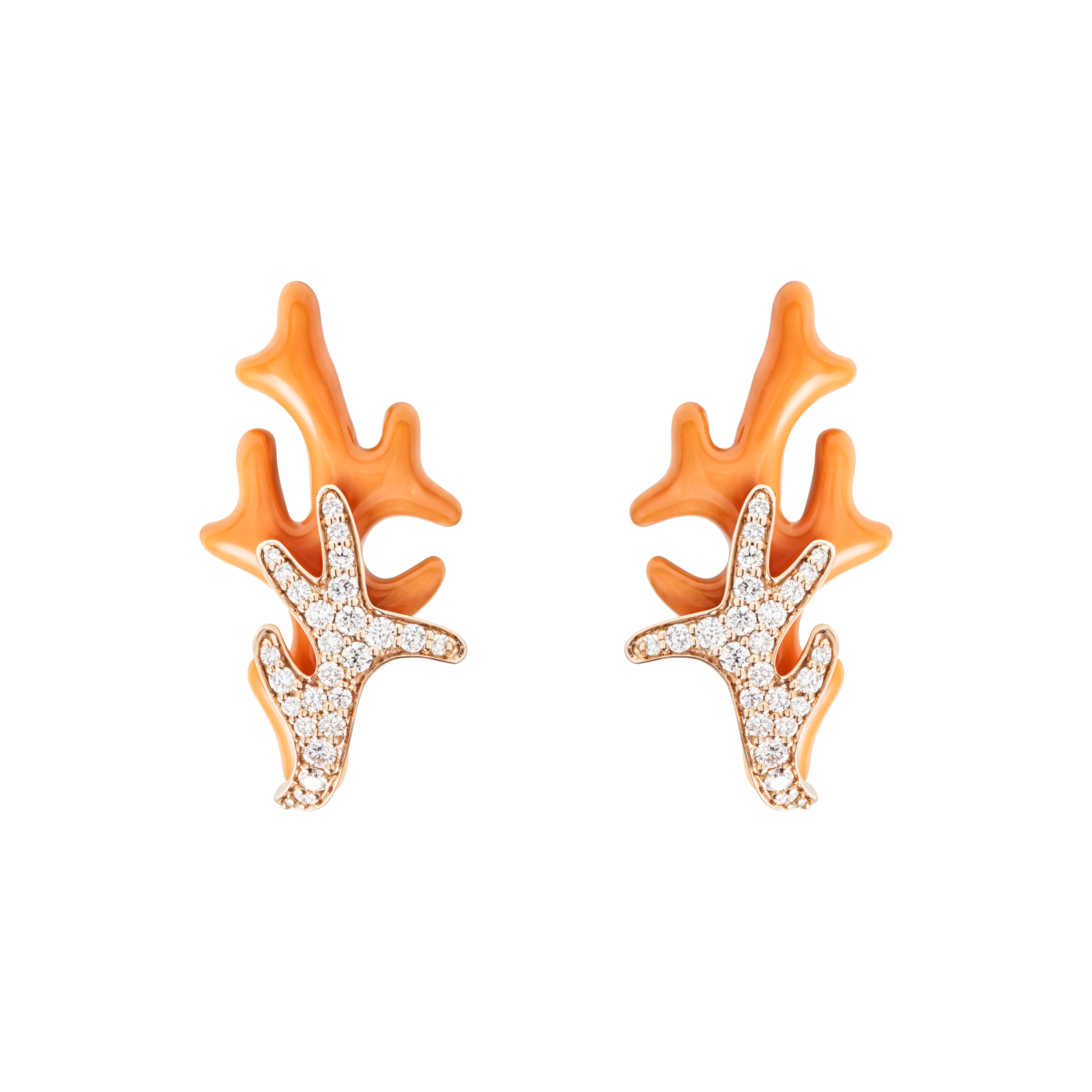 Coral Stud Earrings